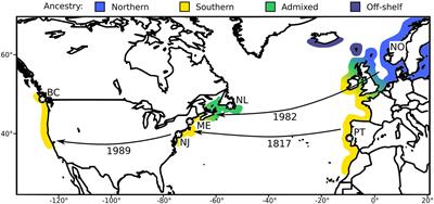 Rapid Adaptation to Temperature via a Potential Genomic Island of Divergence in the Invasive Green Crab, Carcinus maenas